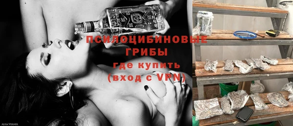 ешки Сатка