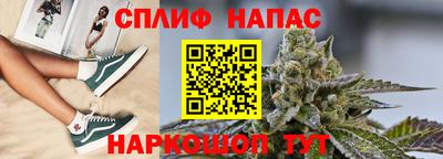 амф Кандалакша