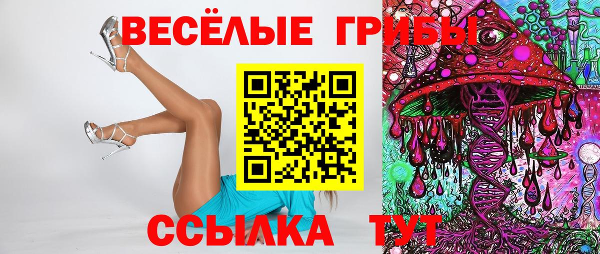 Псилоцибиновые грибы Cubensis Сибай