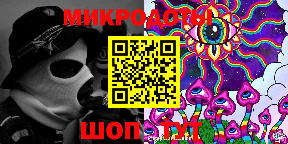 Псилоцибиновые грибы Psilocybe Сибай